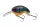 Daiwa Prorex Chibi Fuku Fuku Crank
blue tiger 41mm 6.5g 1db