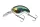 Daiwa Prorex Chibi Fuku Fuku Crank
special shiner 41mm 6.5g 1db