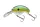 Daiwa Prorex Chibi Fuku Fuku Crank
blue perch 41mm 6.5g 1db