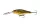 Daiwa Prorex Swift Crank 250
ghost yellow ayu 70mm 12.9g 1db