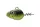 Daiwa Prorex Pelagic Head
muddy green 50.0g 1db
