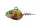 Daiwa Prorex Pelagic Head
roach 30.0g 1db