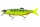 Daiwa Prorex Hybrid Swimbait 180SF
firetiger 18.0cm 50.0g