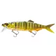 Daiwa Prorex Hybrid Swimbait 250SF
golden shiner 25.0cm 125.0g