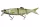 Daiwa Prorex Hybrid Swimbait 250SF
ayu 25.0cm 125.0g