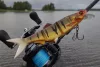 Daiwa Prorex Hybrid Swimbait 250SF
perch 25.0cm 125.0g