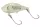 Daiwa Presso Deaza
latte green glow 3.1cm 2.5g