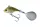 Daiwa Prorex TG Spin Jig
rusty shad silver 21.0g