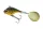 Daiwa Prorex TG Spin Jig
gold nugget gold 14.0g