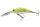 Daiwa Tournament Mega Scouter 1064FG
chart back pearl 6.8cm 14.0g
