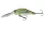 Daiwa Tournament Mega Scouter 1064FG
see through shad 6.8cm 14.0g