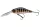 Daiwa Tournament Mega Scouter 1064FG
pearl ghost perch 6.8cm 14.0g