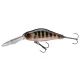 Daiwa Tournament Mega Scouter 1064FG
pearl ghost perch 6.8cm 14.0g