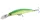 Daiwa Tournament XL Shiner 130F-MR
lime chart 13.0cm 22.5g