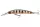 Daiwa Tournament Double Clutch 60SP-G
pearl ghost perch 6.0cm 3.6g