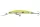 Daiwa Tournament Double Clutch 75SP-G
chart back pearl 7.5cm 5.0g