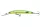 Daiwa Tournament Double Clutch 75SP-G
lime chart 7.5cm 5.0g