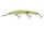 Daiwa Tournament Double Clutch 95SP-G
chart back pearl 9.5cm 8.8g