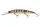 Daiwa Tournament Double Clutch 95SP-G
pearl ghost perch 9.5cm 8.8g
