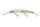 Daiwa Tournament Double Clutch 95SP-G
green flash ghost 9.5cm 8.8g