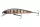 Daiwa Tournament Baby Minnow 60SP
pearl ghost perch 6.0cm 3.5g