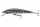 Daiwa Tournament Baby Minnow 60SP
kibinago 6.0cm 3.5g