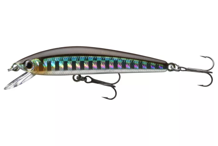 Daiwa Tournament Baby Minnow 60SP
kibinago 6.0cm 3.5g