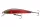 Daiwa Tournament Baby Minnow 60SP
lazer red 6.0cm 3.5g