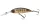 Daiwa Tournament Spike 53SP-MR
pearl ghost perch 5.3cm 5.0g