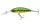 Daiwa Tournament Spike 53SP-MR
firetiger 5.3cm 5.0g