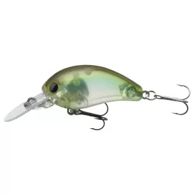   Daiwa Tournament Baby Crank 35F-SR
see through shad 3.5cm 3.5g