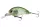 Daiwa Tournament Baby Crank 35F-SR
see through shad 3.5cm 3.5g