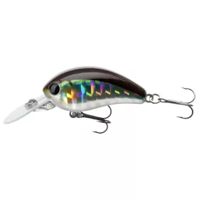 Daiwa Tournament Baby Crank 35F-SR
kibinago 3.5cm 3.5g