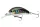 Daiwa Tournament Baby Crank 35F-SR
kibinago 3.5cm 3.5g