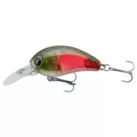 Daiwa Tournament Baby Crank 35F-SR
lazer red 3.5cm 3.5g