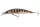 Daiwa Tournament Current Master 93F-SR
pearl ghost perch 9.3cm 12.0g