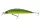 Daiwa Tournament Current Master 93F-SR
firetiger 9.3cm 12.0g