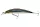 Daiwa Tournament Current Master 93F-SR
kibinago 9.3cm 12.0g