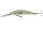 Daiwa Tournament Current Master 93F-DR
see through shad 9.3cm 12.0g