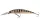Daiwa Tournament Current Master 93F-DR
pearl ghost perch 9.3cm 12.0g