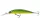 Daiwa Tournament Current Master 93F-DR
firetiger 9.3cm 12.0g