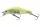 Daiwa Tournament Wise Minnow 50FS
chart back pearl 5.0cm 5.2g