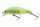 Daiwa Tournament Wise Minnow 50FS
lime chart 5.0cm 5.2g
