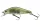 Daiwa Tournament Wise Minnow 50FS
see through shad 5.0cm 5.2g