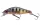 Daiwa Tournament Wise Minnow 50FS
pearl ghost perch 5.0cm 5.2g