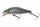 Daiwa Tournament Wise Minnow 50FS
kibinago 5.0cm 5.2g