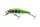 Daiwa Tournament Wise Minnow 50FS
chart back zebra 5.0cm 5.2g