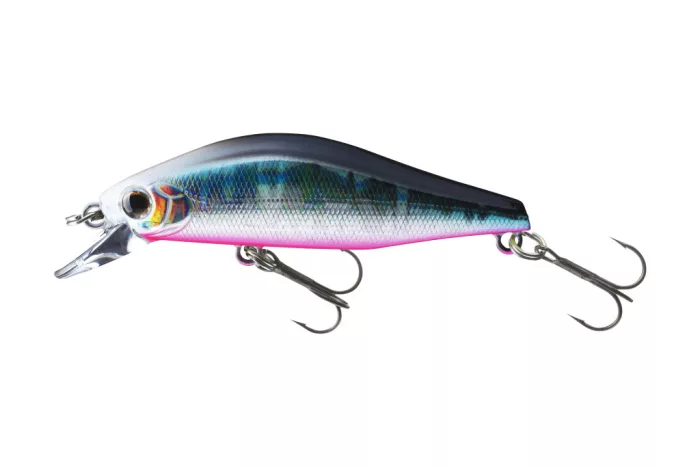 Daiwa Tournament Wise Minnow 50FS
aurora sunset laser 5.0cm 5.2g