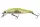 Daiwa Tournament Wise Minnow 70FS
chart back pearl 7.0cm 7.5g