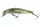 Daiwa Tournament Wise Minnow 70FS
see through shad 7.0cm 7.5g